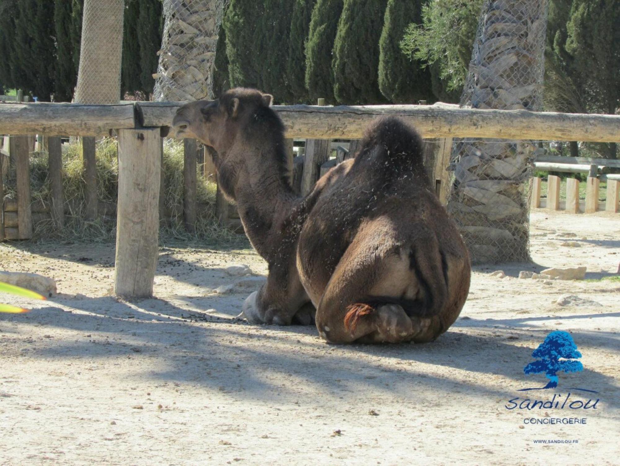Sandilou Lespetitsbonheurs 2 Chambres Climatise Tv Sigean Dış mekan fotoğraf